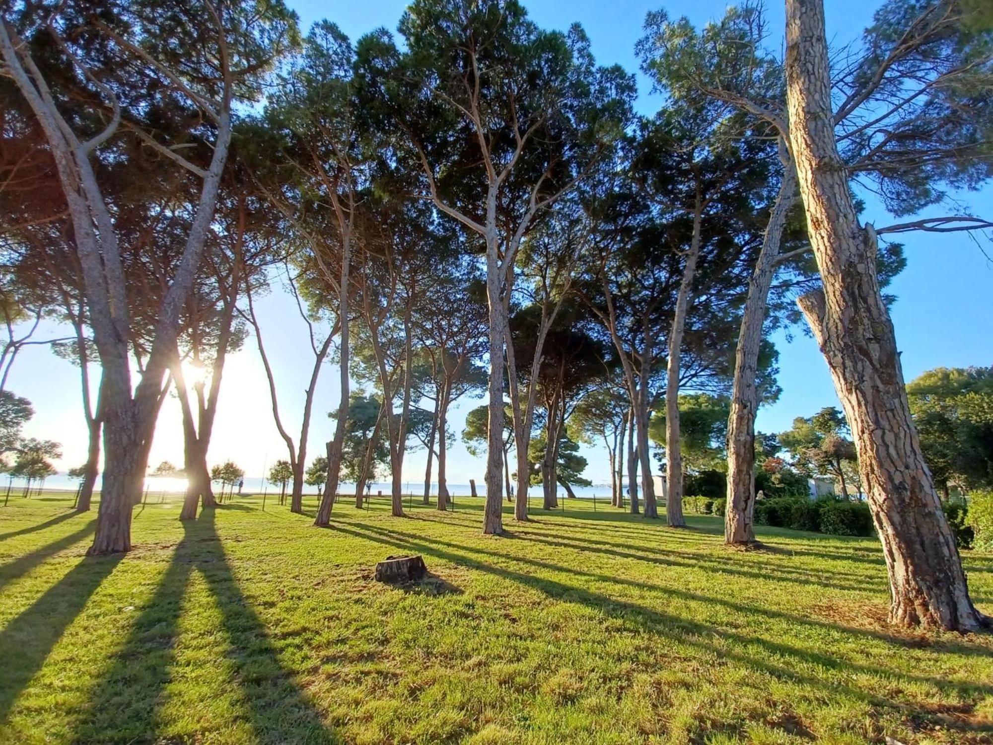 Family Apartments Zadar - Ryanair Exclusive מראה חיצוני תמונה